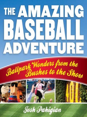 cover image of The Amazing Baseball Adventure